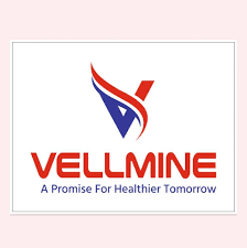 Vellmine  logo