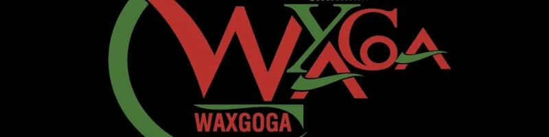 Waxgoga Ayurvedic  logo