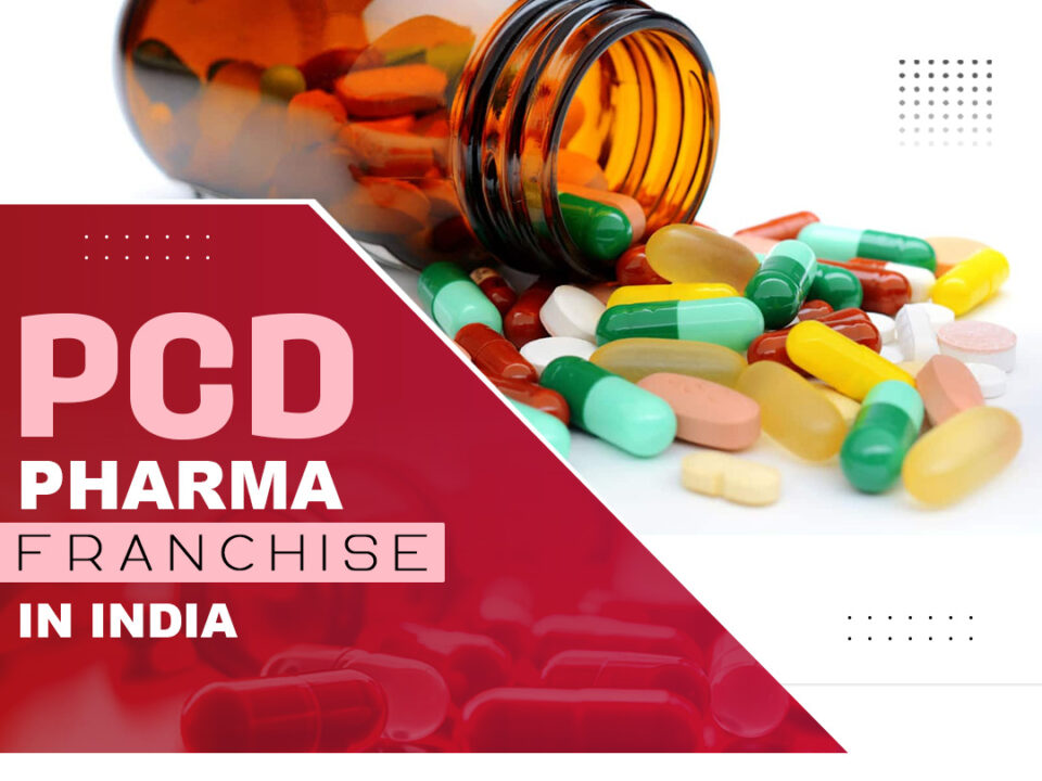 How Medibyte Pharma Supports Franchise Owners with Monopoly Rights & Marketing Assistance