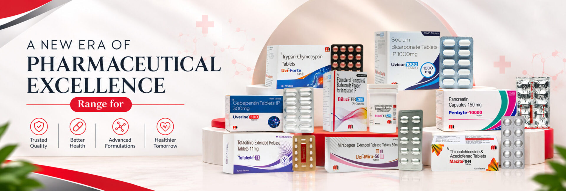 medibyte.jpg (1) pcd franchise for tablets